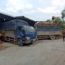 VẬN CHUYỂN GIAO HÀNG
