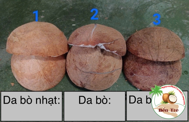 CƠM DỪA KHÔ BẾN TRE