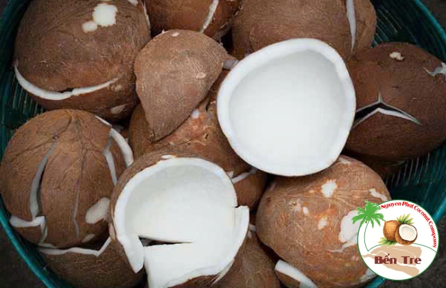 SẢN XUẤT CƠM DỪA